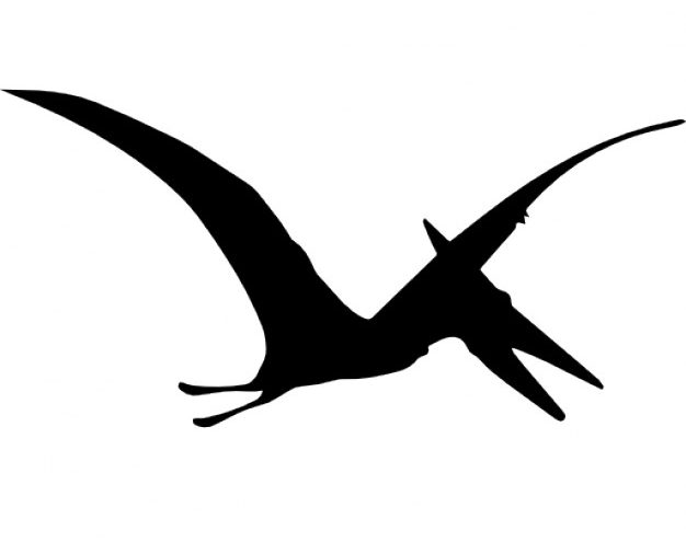 Carterodactyl: Ms. Carter's Classroom